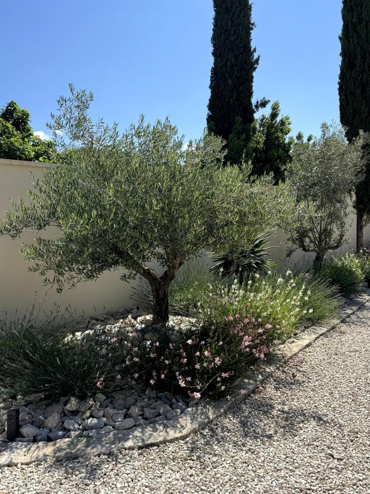 Les Lauriers Blancs Air-conditioned With Swimming Pool L'Isle-sur-la-Sorgue